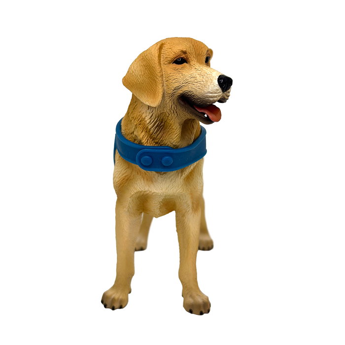 DEQUBE Perro Labrador Retriever Canela con Chaleco Bocalán