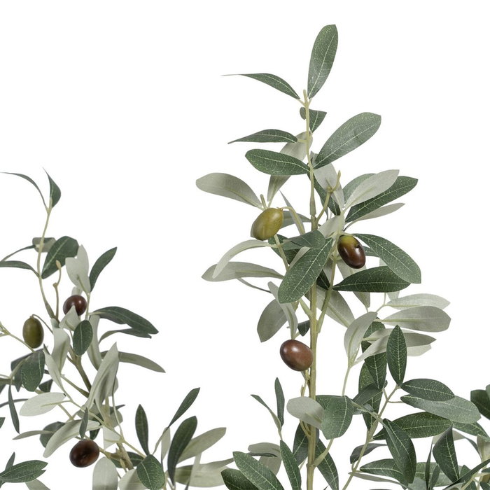 Ixia Planta de Olivo Verde 56 x 48 x 78 cm Ixia Planta de Olivo Verde 56 x 48 x 78 cm
