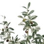 Ixia Planta de Olivo Verde 56 x 48 x 78 cm
