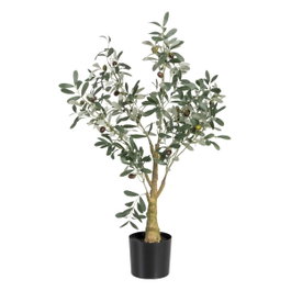 Ixia Planta de Olivo Verde 56 x 48 x 78 cm