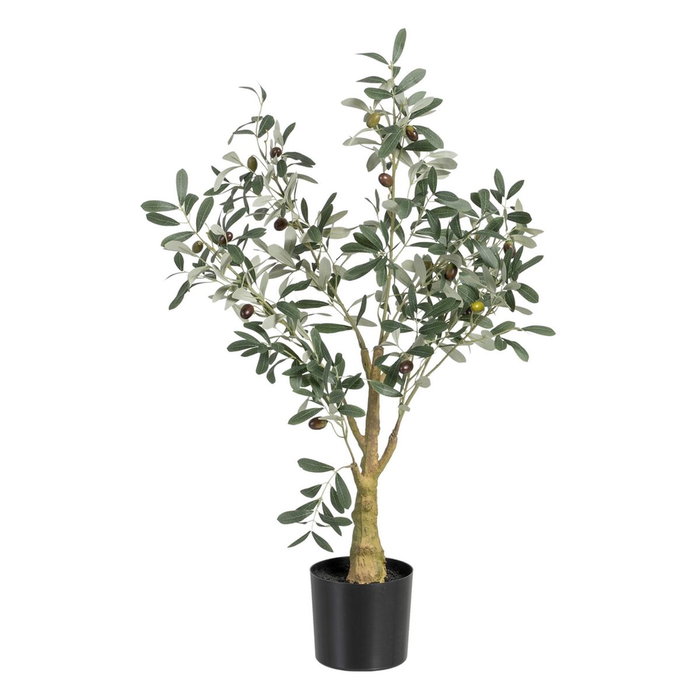 Ixia Planta de Olivo Verde 56 x 48 x 78 cm Ixia Planta de Olivo Verde 56 x 48 x 78 cm