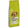 Purina DOG CHOW Adulto Cordero 14kg