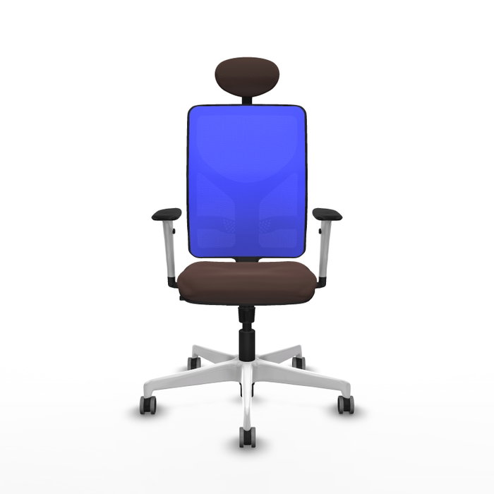 PIQUERAS Y CRESPO Silla de oficina Motilla con mecanismo Sincro, Marrón y Azul