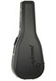 Guitarra Acústica Tanglewood Tw1000Hsr Dreadnought