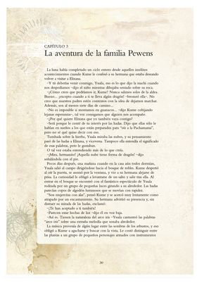 Hadas Y Dragones