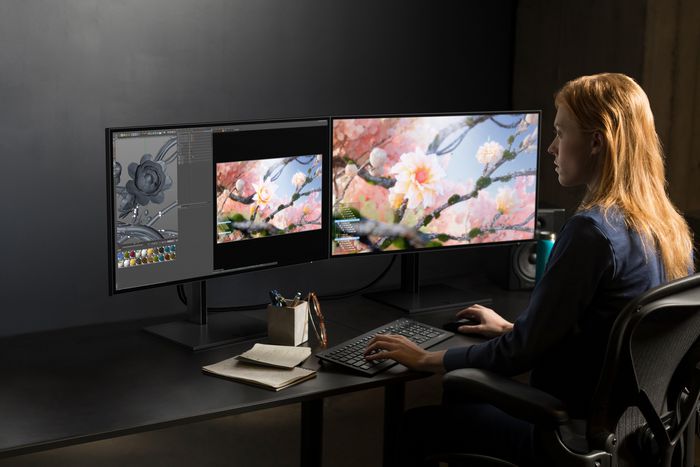 HP Z25xs G3 Monitor QHD 25" USB-C DreamColor Pantone Validado con 99% sRGB y Ajuste Ergonómico