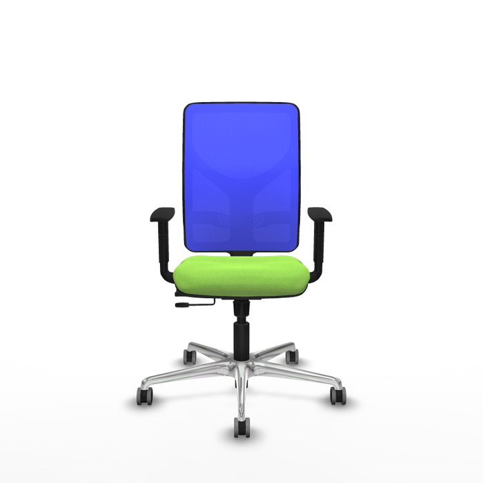 PIQUERAS Y CRESPO Silla de oficina Motilla con mecanismo Sincro/Traslack, Azul y Pistacho PIQUERAS Y CRESPO Silla de oficina Motilla con mecanismo Sincro/Traslack, Azul y Pistacho