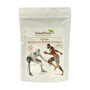 Salud Viva Atleta Rendimiento Perfecto Bio 500g