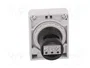EATON ELECTRIC Potenciómetro RMQ-Titan 2,2kΩ 30mm