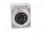 EATON ELECTRIC Potenciómetro RMQ-Titan 2,2kΩ 30mm