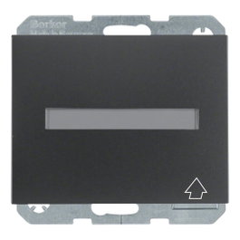 BERKER Toma de corriente SCHUKO con tapa abatible Antracita mate IP44