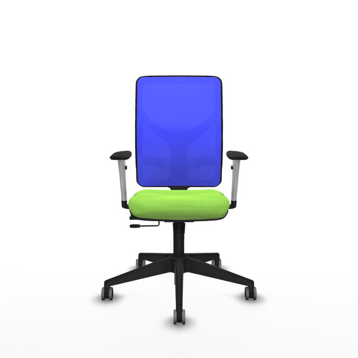 PIQUERAS Y CRESPO Silla de oficina Motilla con mecanismo Sincro/Traslack, Azul y Pistacho