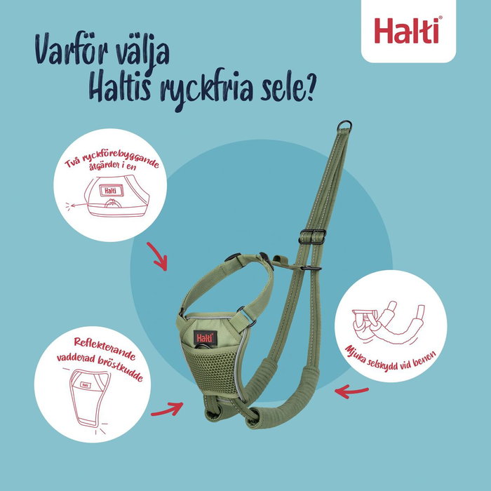 Arnés para Perro Company of Animals FOREST Verde 12