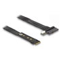 DeLOCK Adaptador M.2 Key M a U.2 SFF-8639 NVMe con cable de 20 cm