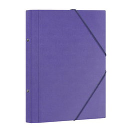 Carpeta Clasificadora Dohe Carton Plastif. Fº 12 Dptos.Gomas Y Solapa Morado