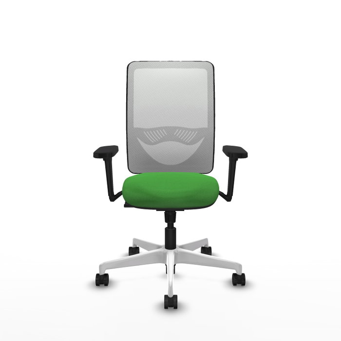 PIQUERAS Y CRESPO Silla de oficina Zulema con mecanismo Sincro, Verde y Blanco PIQUERAS Y CRESPO Silla de oficina Zulema con mecanismo Sincro, Verde y Blanco