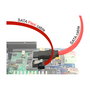 DeLOCK Cable SATA III 6 Gb/s, 10 cm (0.1 m) Color Rojo, Macho a Macho, Conectores Derechos, SATA 3