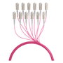 EFB Elektronik Cable de fibra óptica OM4 12x SC-SC 40m