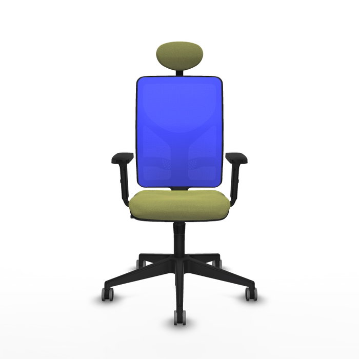 PIQUERAS Y CRESPO Silla de oficina Motilla con mecanismo Sincro, Verde oliva y Azul PIQUERAS Y CRESPO Silla de oficina Motilla con mecanismo Sincro, Verde oliva y Azul