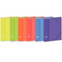 Elba Clasificador ElbaColor 12 Separadores Folio con Solapa y Gomas