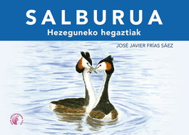 Salburua, José Javier Frías Sáez - BETA III MILENIO