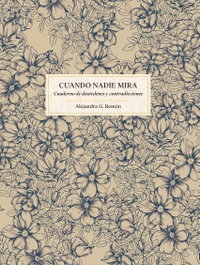 Cuando nadie mira, Alejandra G. Remón - LUNWERG EDITORES