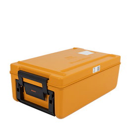 Rieber Thermoport 50K - Termoportátil de Polipropileno para Transporte, 250x370x610 mm (12L), Color Naranja