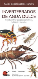 Tundra, Invertebrados de agua dulce - Guías Desplegables