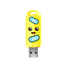 SanDisk Memory Drive Flash USB 3.2 256GB SDCZIF-256G-G46