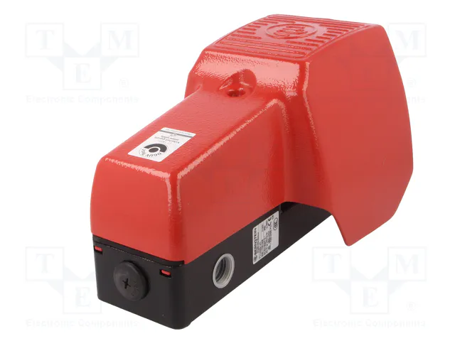 BERNSTEIN AG Interruptor de pie (SPST-NO + SPST-NC) x2 IP65