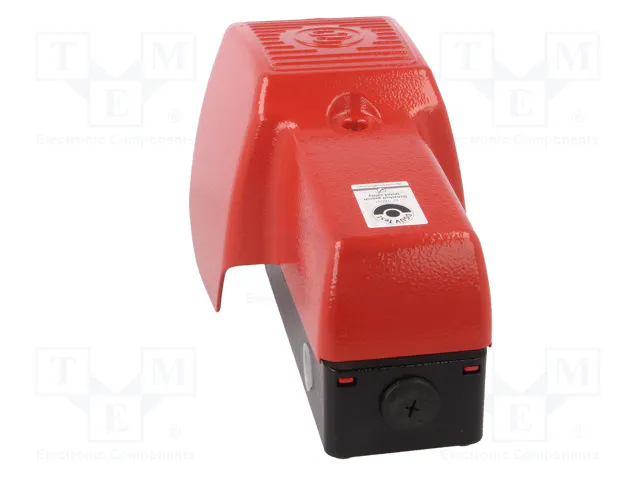 BERNSTEIN AG Interruptor de pie (SPST-NO + SPST-NC) x2 IP65