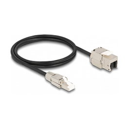 DeLOCK Cable de red RJ45 Cat.6a Macho a Keystone Hembra 1 m - Negro/Plata