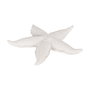 Figura Estrella Blanco Resina Decoración 30 X 30 X 4 cm (Set de 2)