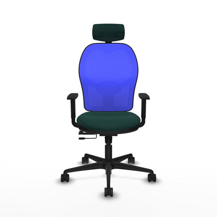 PIQUERAS Y CRESPO Silla de oficina Jorquera con mecanismo Sincro/Traslack Verde botella y Azul