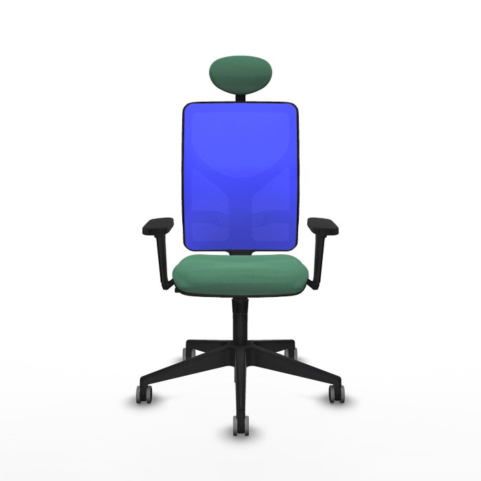 PIQUERAS Y CRESPO Silla de oficina Motilla con mecanismo Sincro, Verde esmeralda y Azul