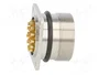 LAPP Conector Industrial ZYLIN M27 de 21 Pines, Macho, IP67