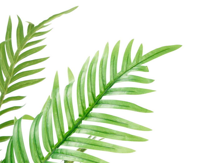 Ibergarden Planta Artificial Areca 120 cm con Maceta 16x16x14.5 cm Verde Plástico (Set de 4)