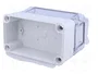 FIBOX PICCOLO Carcasa Universal Gris