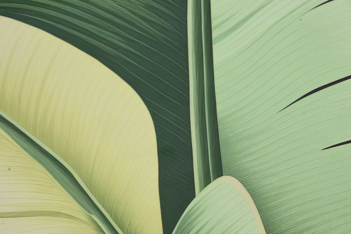 DKD Home Decor Cuadro Aluminio Hojas Palmera Verde Surtido de 2 Unidades