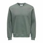 Sudadera sin Capucha Hombre Only & Sons Onsdan Unshed Reg Crew Neck Verde oscuro