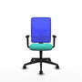 PIQUERAS Y CRESPO Silla de oficina Motilla con Mecanismo Sincro, Turquesa y Azul