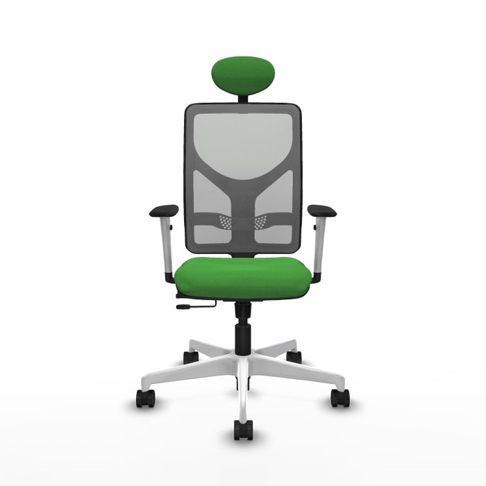 PIQUERAS Y CRESPO Silla de oficina Motilla con mecanismo Sincro/Traslack Verde y Gris PIQUERAS Y CRESPO Silla de oficina Motilla con mecanismo Sincro/Traslack Verde y Gris