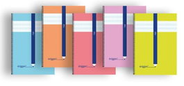 ERIGGAN Pack de 10 cuadernos espiral de 4º, 40 hojas, 70g, cuadrovía 3mm