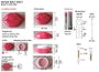 Nice Set de Cuidado Labial con Bálsamo, Mascarilla y Aplicador