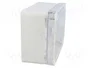 ELEKTRO-PLAST NASIELSK Carcasa Universal Industrial Gris IP65