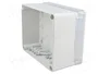 ELEKTRO-PLAST NASIELSK Carcasa Universal Industrial Gris IP65