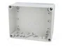 ELEKTRO-PLAST NASIELSK Carcasa Universal Industrial Gris IP65