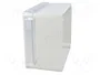 ELEKTRO-PLAST NASIELSK Carcasa Universal Industrial Gris IP65