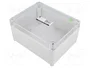 ELEKTRO-PLAST NASIELSK Carcasa Universal Industrial Gris IP65