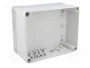 ELEKTRO-PLAST NASIELSK Carcasa Universal Industrial Gris IP65
